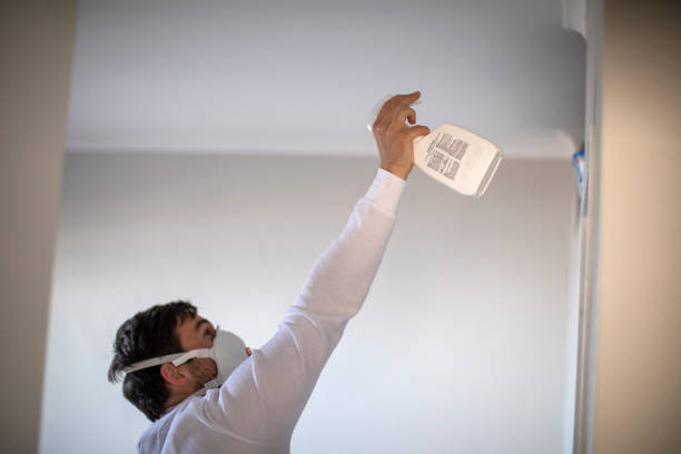 Best Attic Mold Removal  in Chauvin, LA