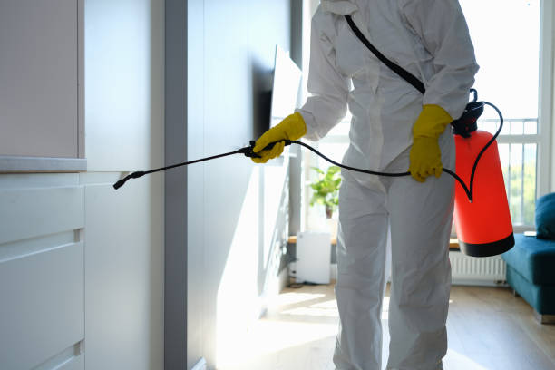 Best Mold Testing  in Chauvin, LA