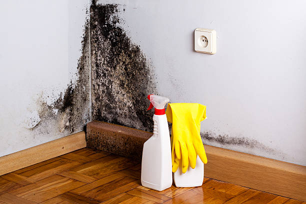 Water Damage Restoration in Chauvin, LA